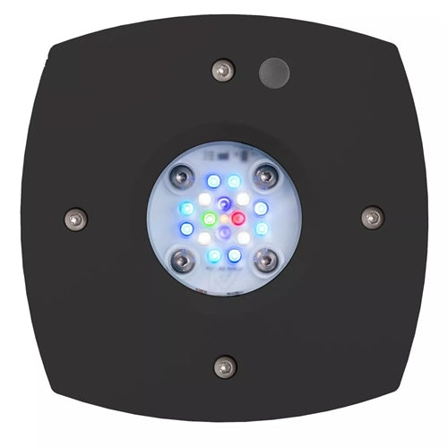AquaIllumination Prime 16HD Reef Smart Reef LED Light, Black