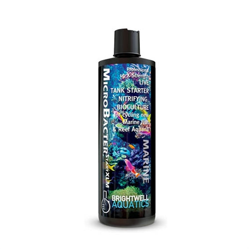 Brightwell Aquatics MicroBacter StartXLM 250 ml