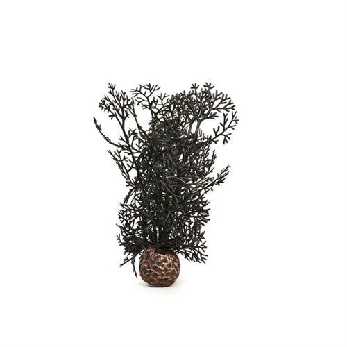 BiOrb Black Sea Fan, Small