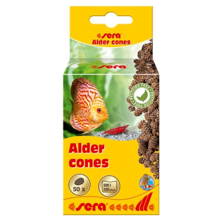 Sera Alder Cones