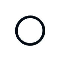 Aqua Ultraviolet 2" Union O-Ring (Part # A40121)