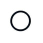 Aqua Ultraviolet 2" Union O-Ring (Part # A40121)