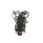 BiOrb Black Sea Fan, Small