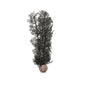 BiOrb Black Sea Fan, Medium