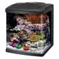 Coralife NEW STYLE Size 16 LED BioCube Aquarium NO FREE FREIGHT