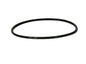 Iwaki O-Ring for the MD-55RLT and 70RLT