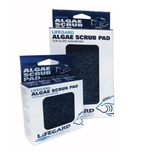 Lifegard Aquatics 4" x 6" Algae Scrub Pad for Glass Tanks