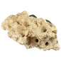 Tunze Coral Rack Long 0104.820