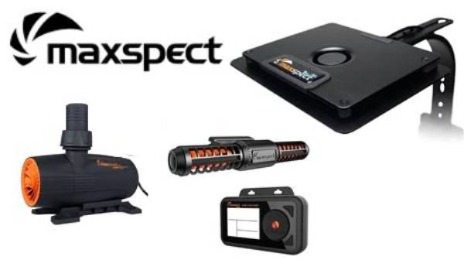 Maxspect Closeout